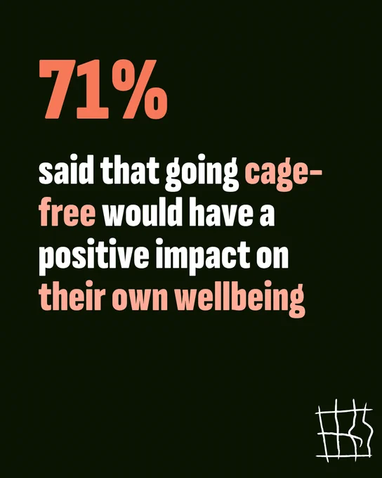 The image features text stating, "71% said that going cage-free would have a positive impact on their own wellbeing." 
