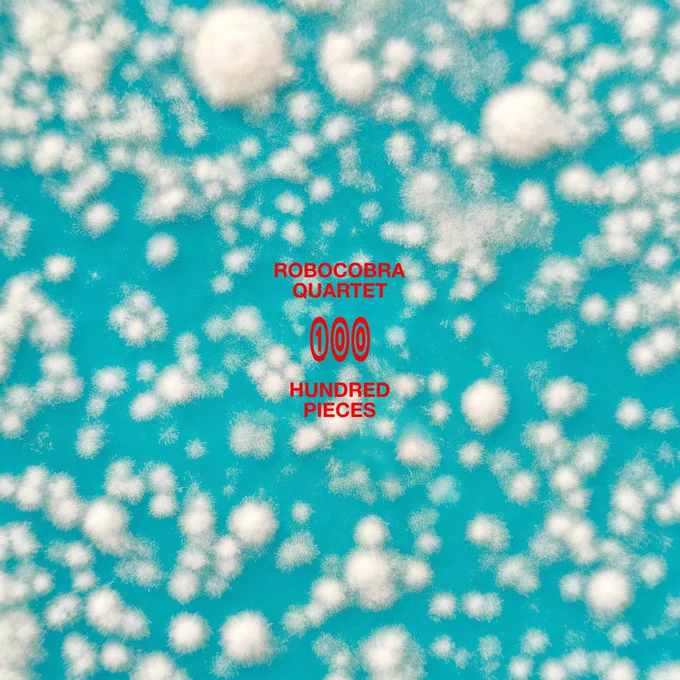Robocobra Quartet's Hundred Pieces album cover: red text on a turquoise background scattered with white petri dishes of fungus