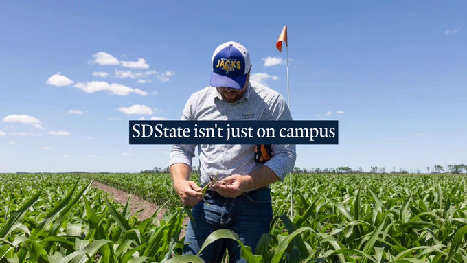 A person is standing in a field examining plants under a blue sky. They are wearing a cap with "Jacks" on it. A small orange and white flag is visible in the background. Text on the image reads, "SDState isn't just on campus.